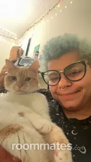 Roommate looking Beaverton, OR, $1000