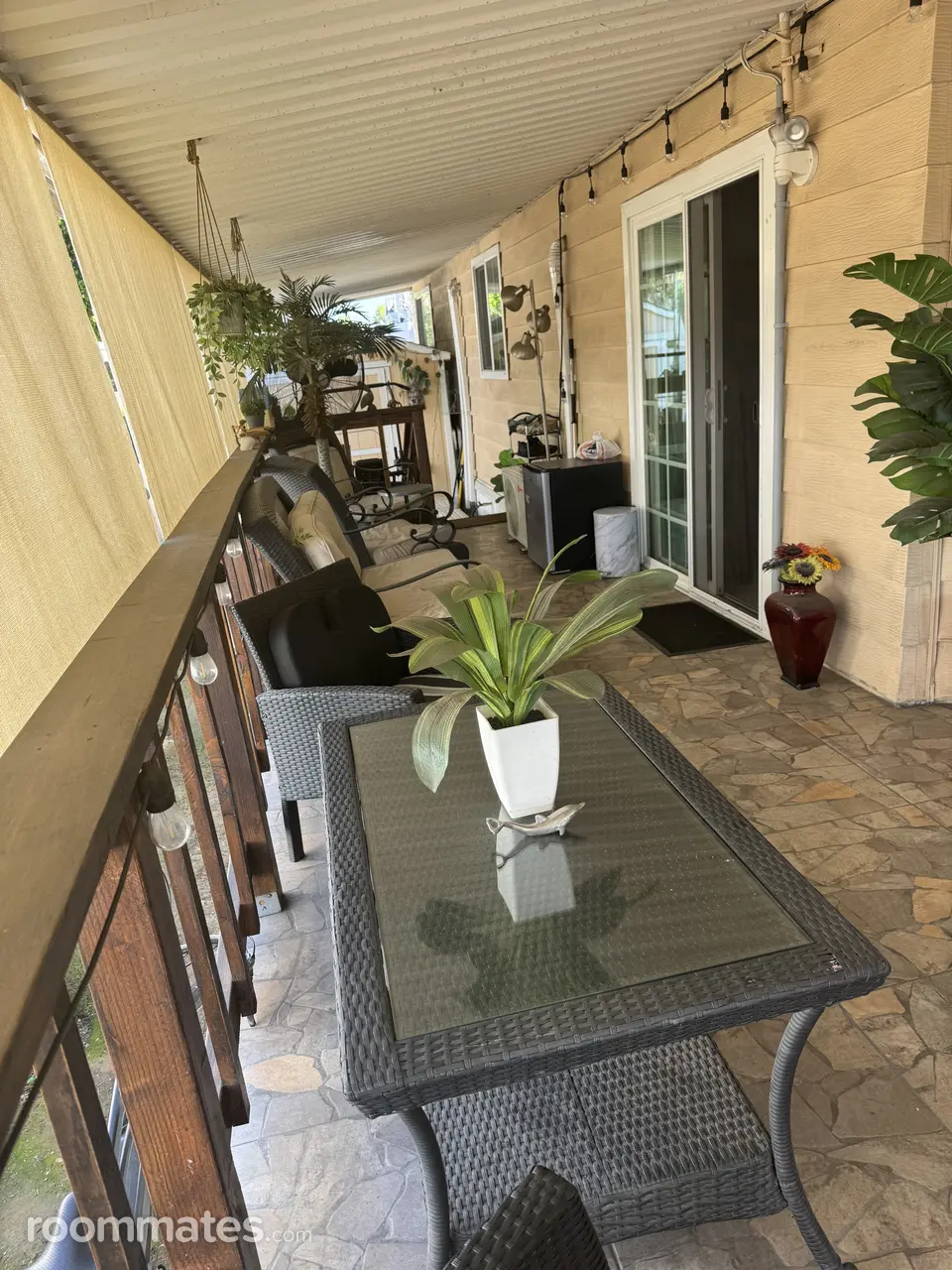 Profile photo 5 of 10