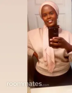 Roommate looking Chicago, IL, $800