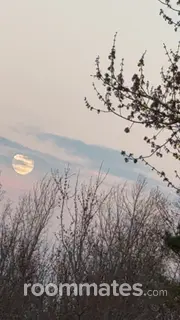 Roommate looking Ellenwood GA, $700