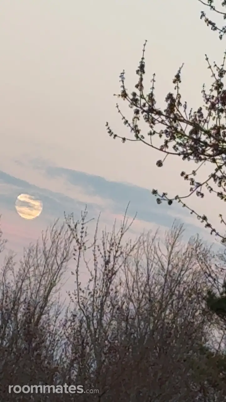 Profile photo 1 of 1