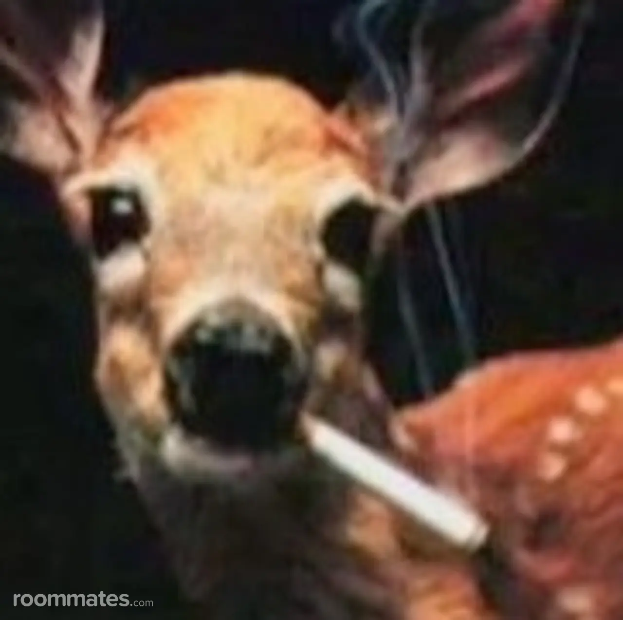 Profile photo 1 of 1