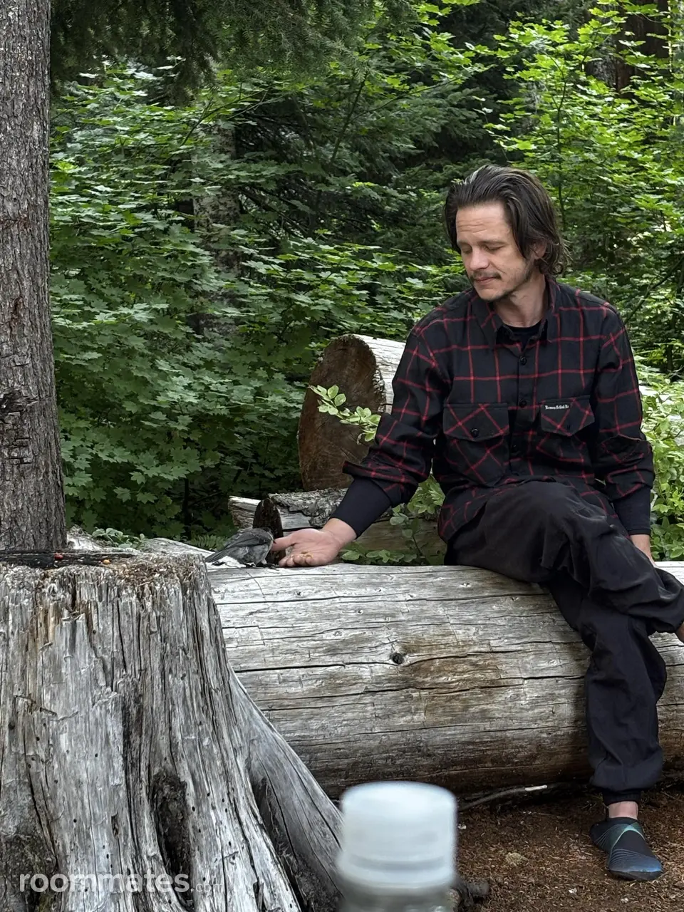 Profile photo 1 of 1