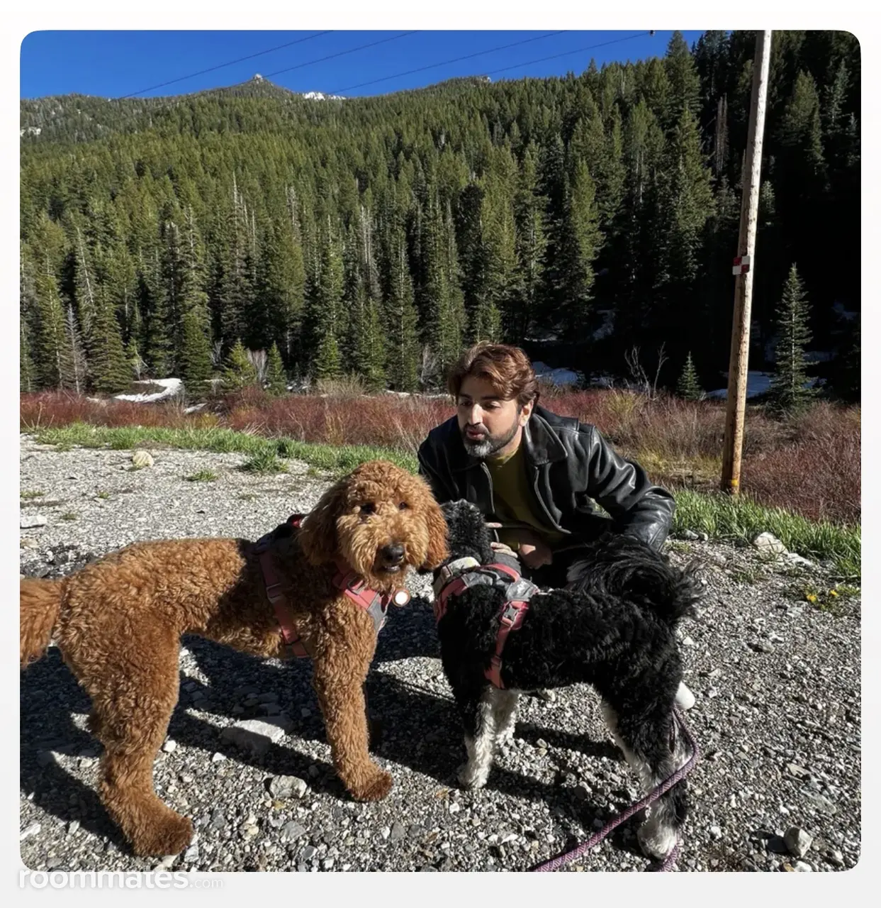 Profile photo 16 of 17