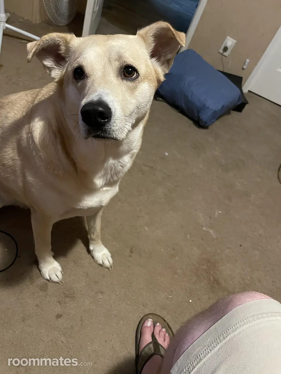 Profile photo 11 of 11