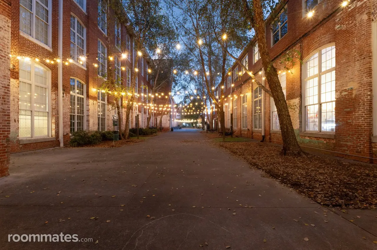 Profile photo 5 of 8