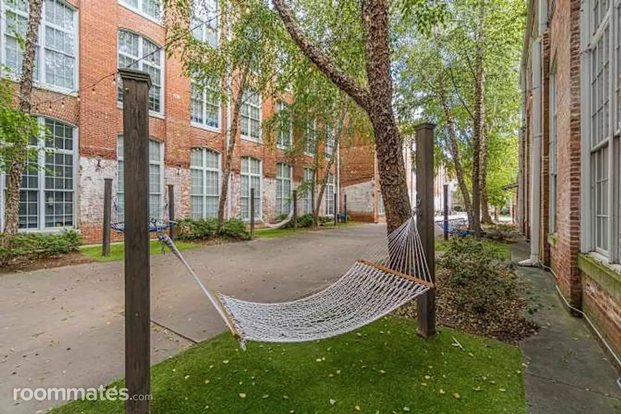 Profile photo 3 of 8