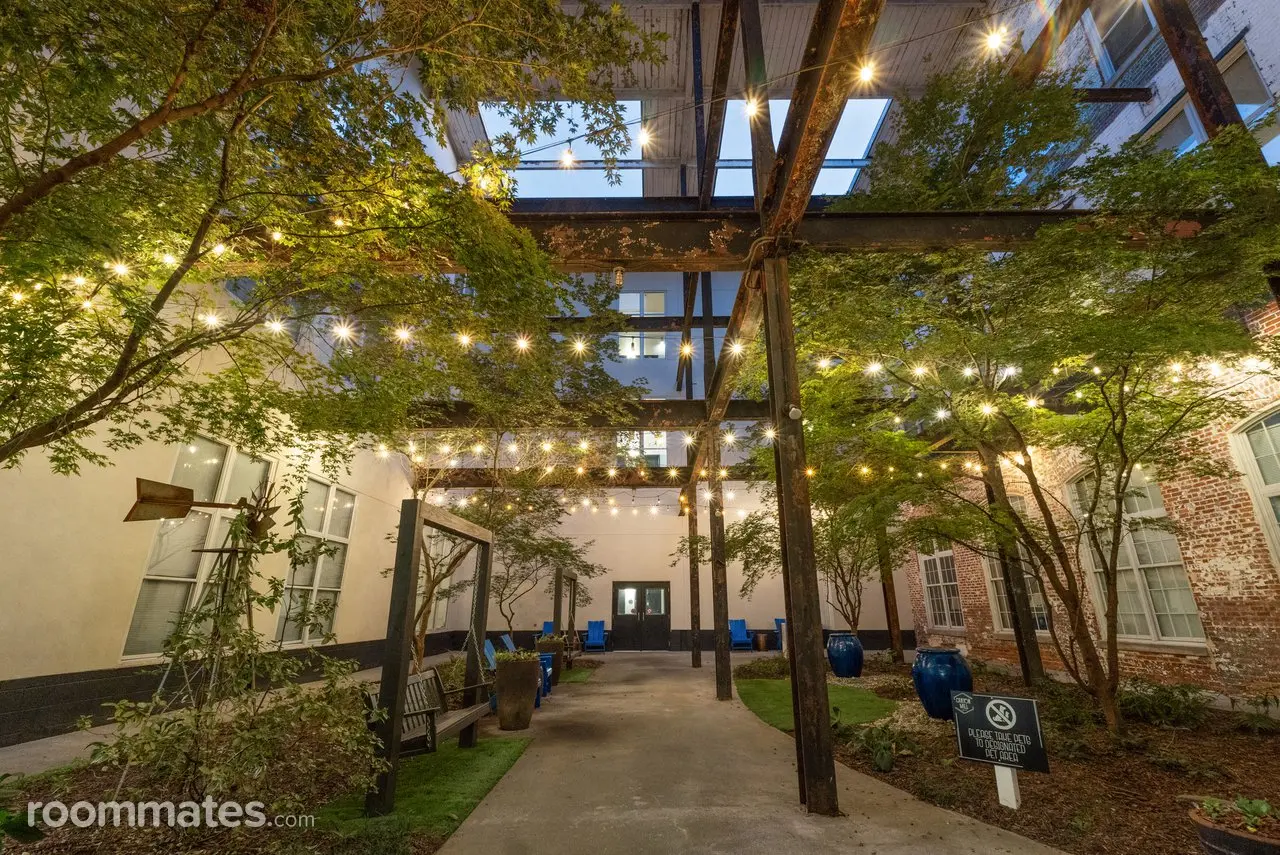 Profile photo 7 of 8