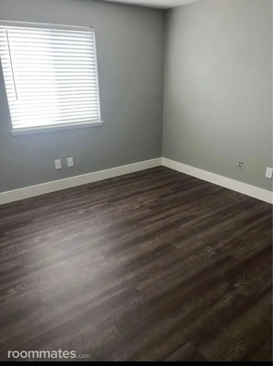 Profile photo 3 of 11