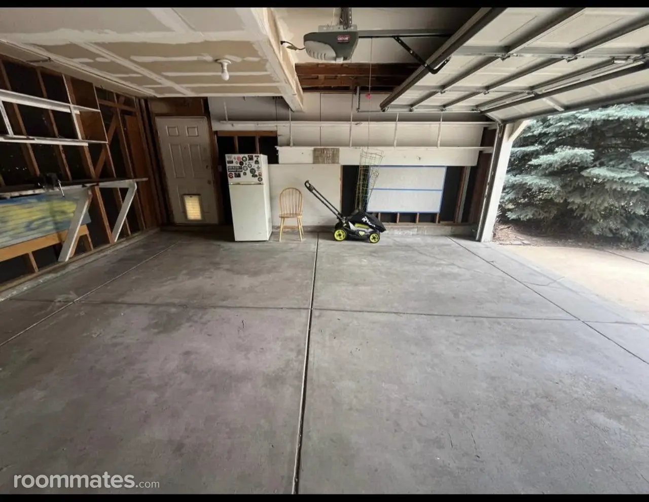 Profile photo 2 of 11