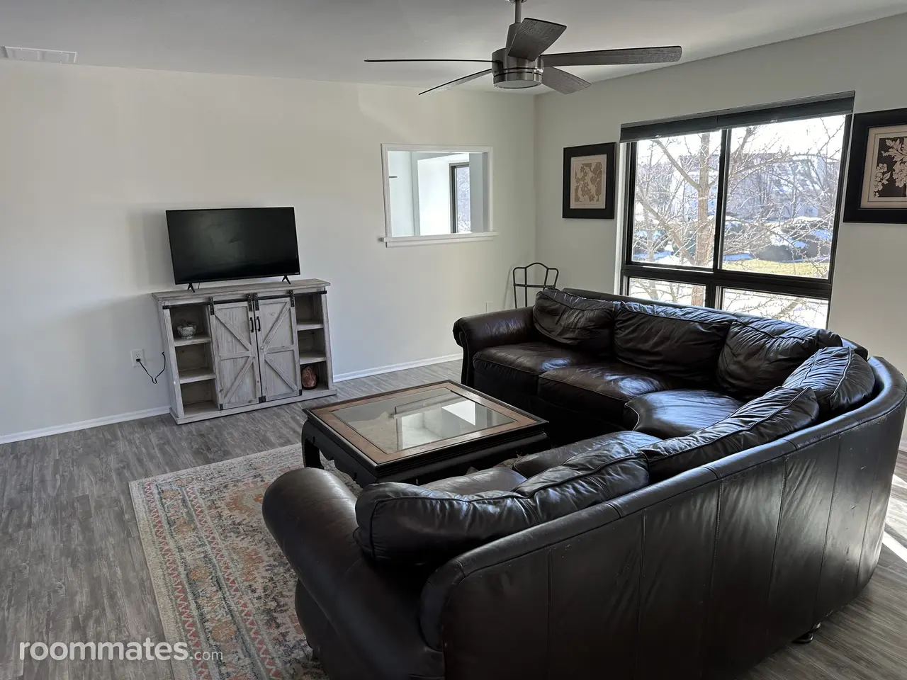 Profile photo 12 of 12