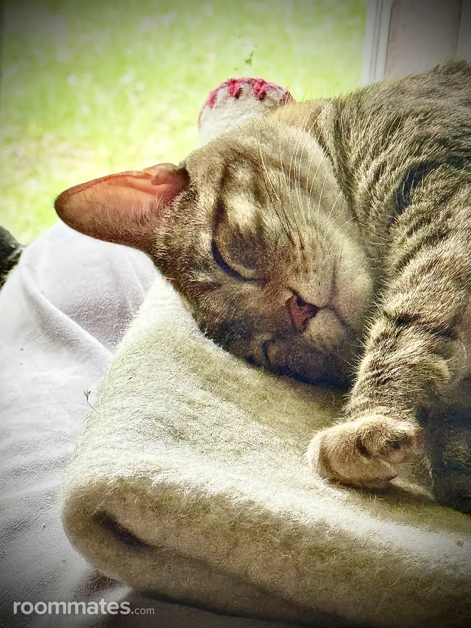 Profile photo 2 of 2