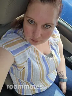 Roommate looking Chesapeake, VA, $500