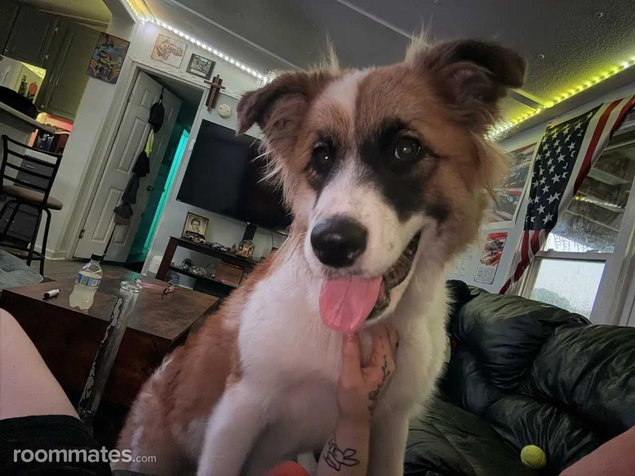 Profile photo 5 of 6