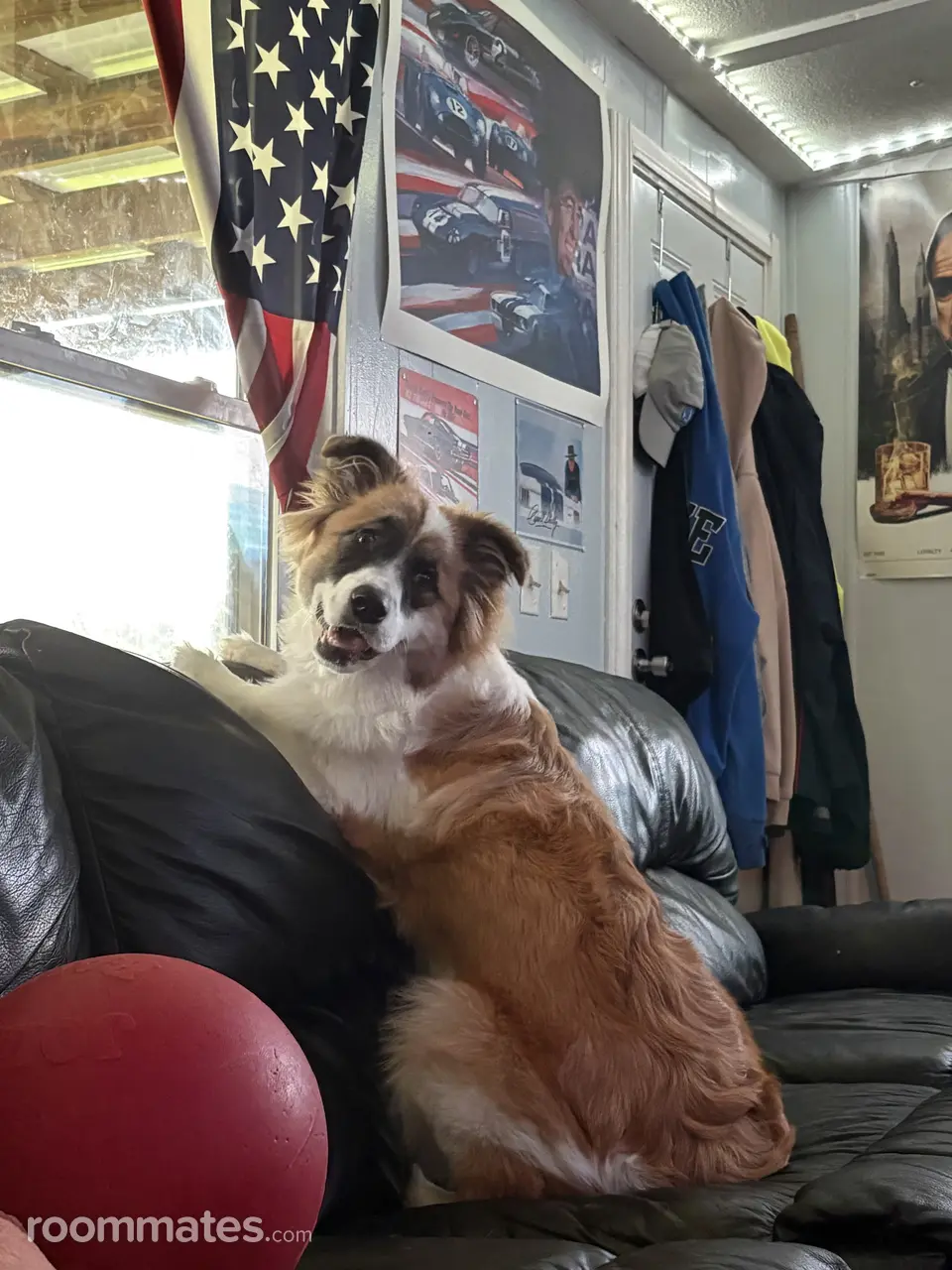 Profile photo 3 of 6