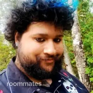 Roommate looking Wheeling, IL, $1200