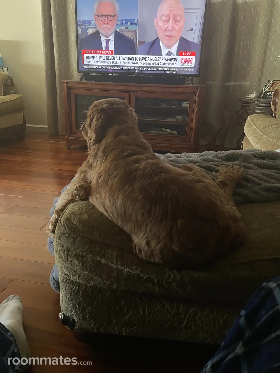 Profile photo 1 of 1