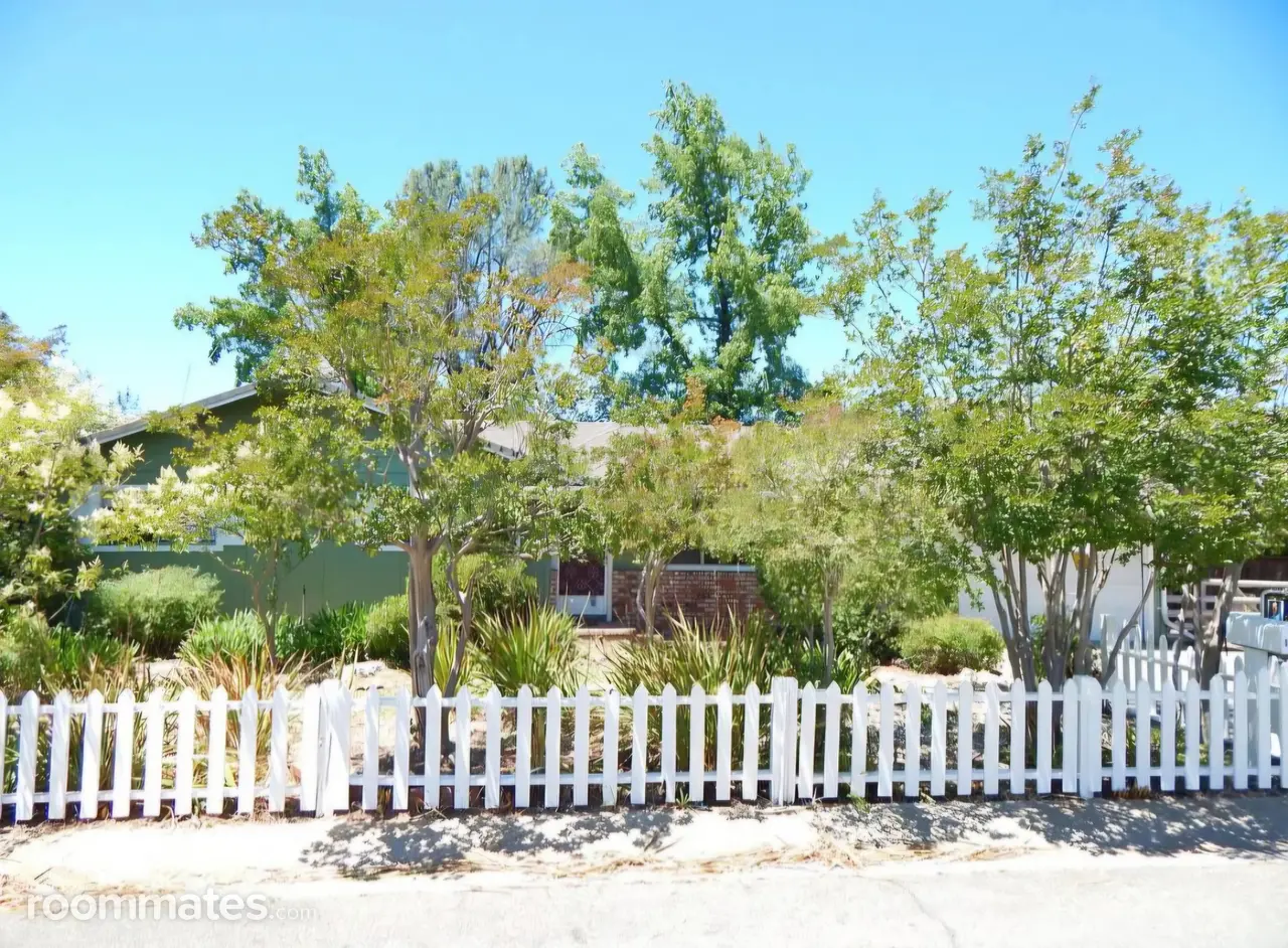 Profile photo 10 of 20