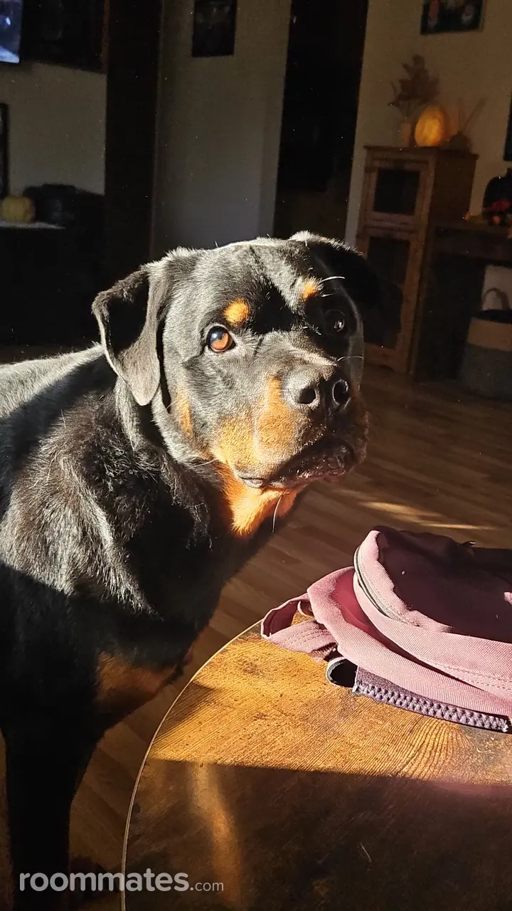 Profile photo 15 of 20