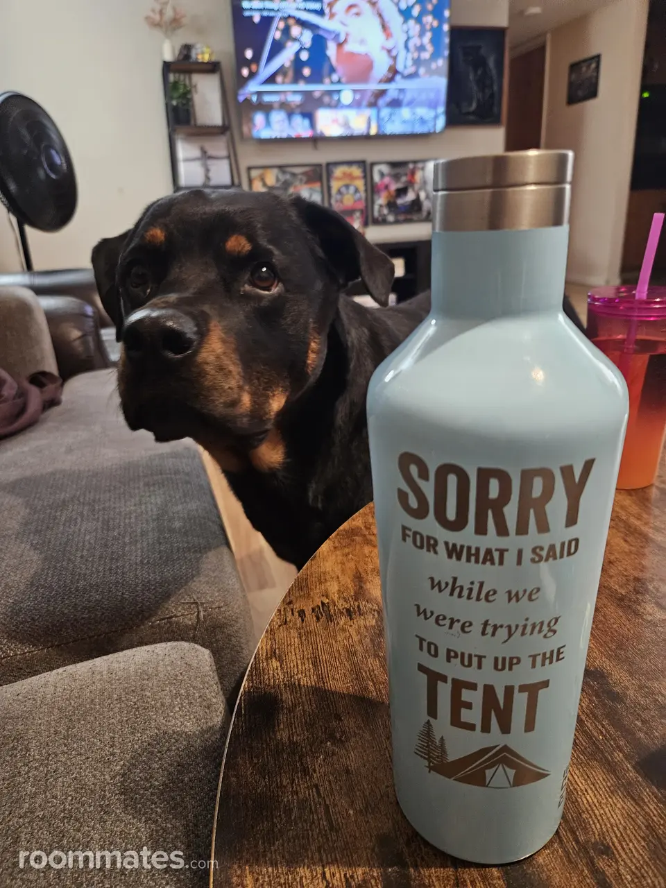 Profile photo 19 of 20