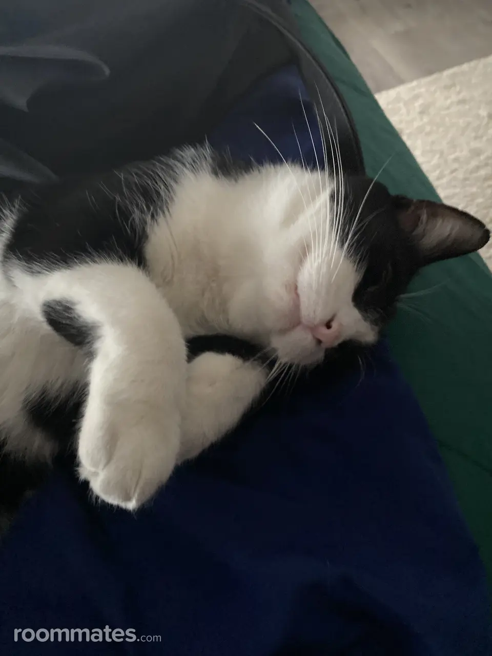 Profile photo 3 of 3