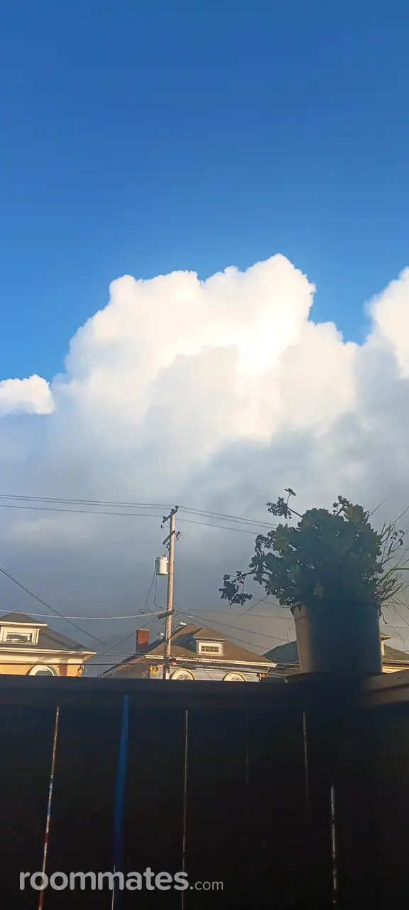 Profile photo 9 of 9