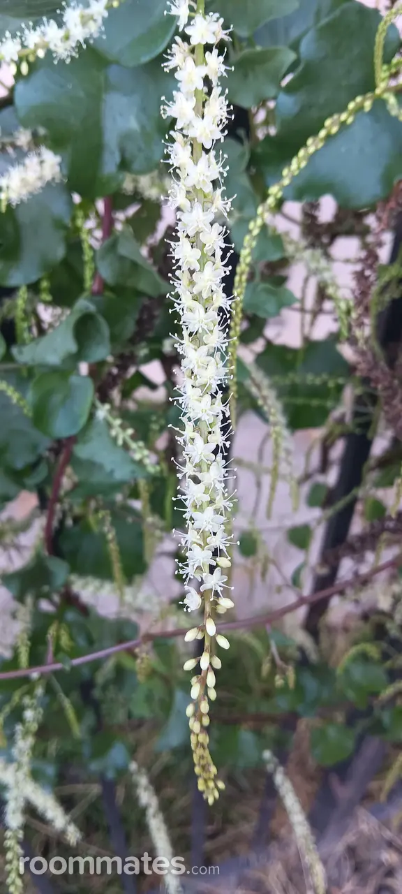 Profile photo 7 of 9