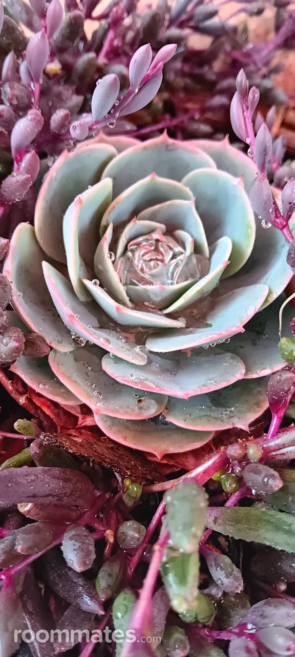 Profile photo 6 of 9