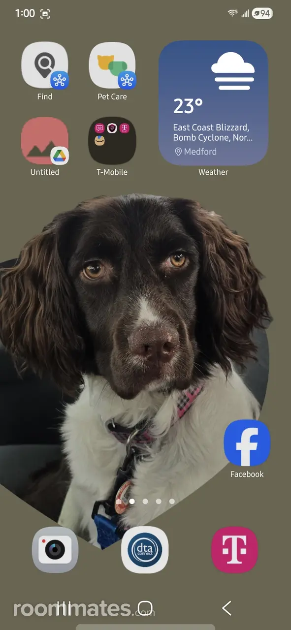 Profile photo 2 of 2