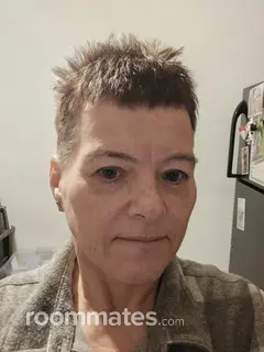 Roommate looking Medford, MA, $900