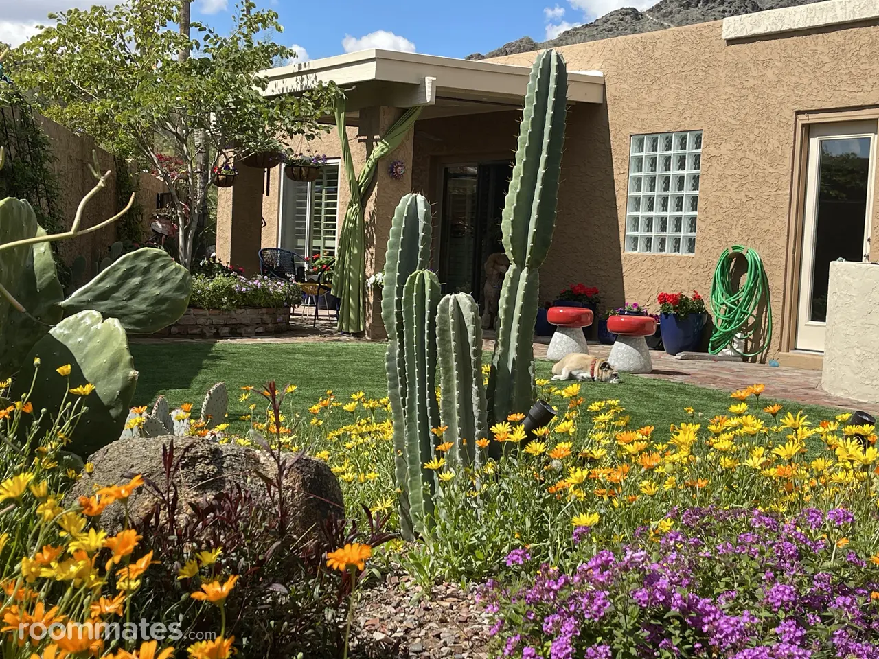 Profile photo 6 of 9