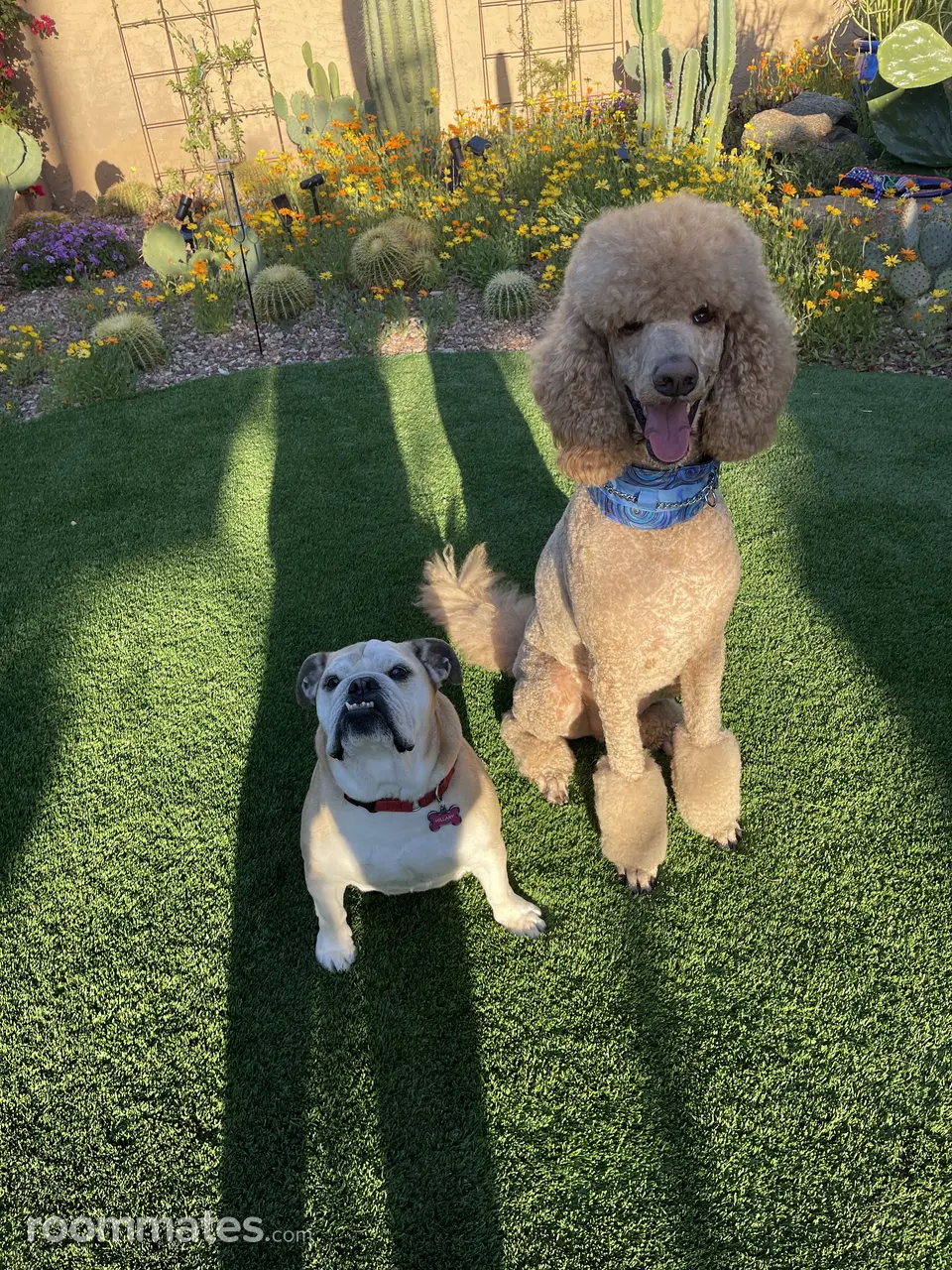 Profile photo 8 of 9