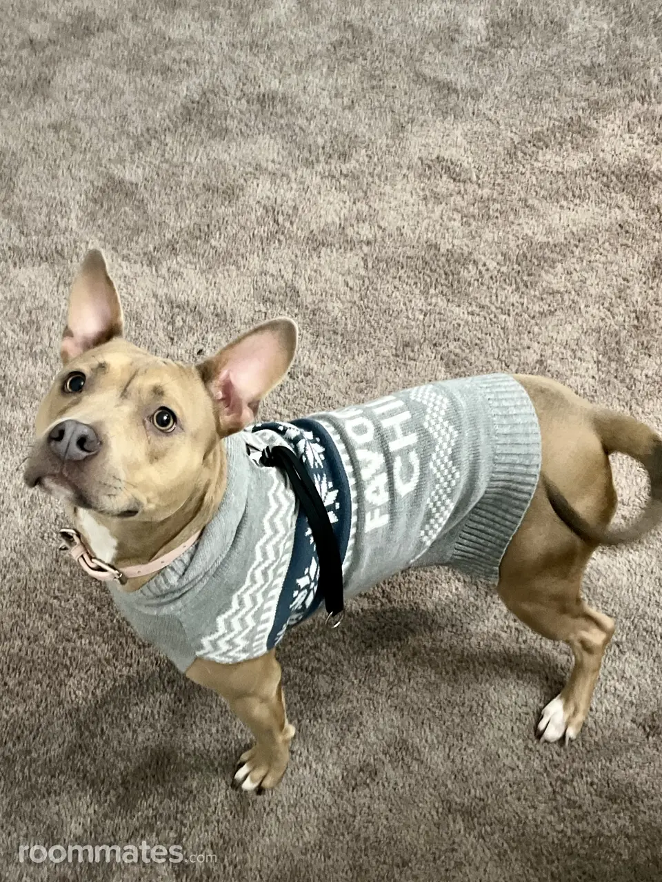 Profile photo 4 of 4