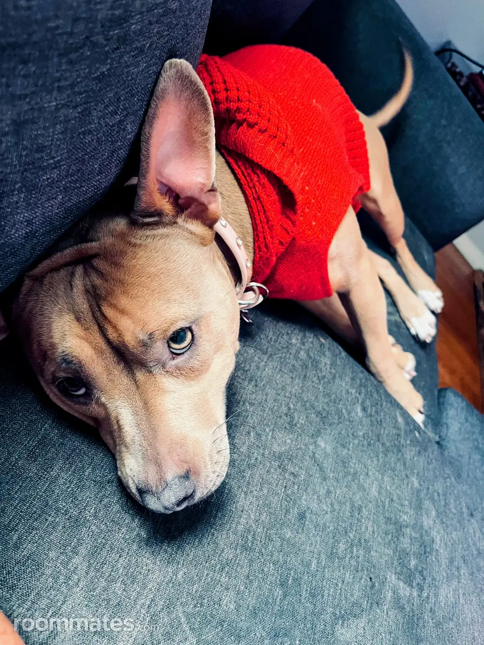 Profile photo 3 of 4