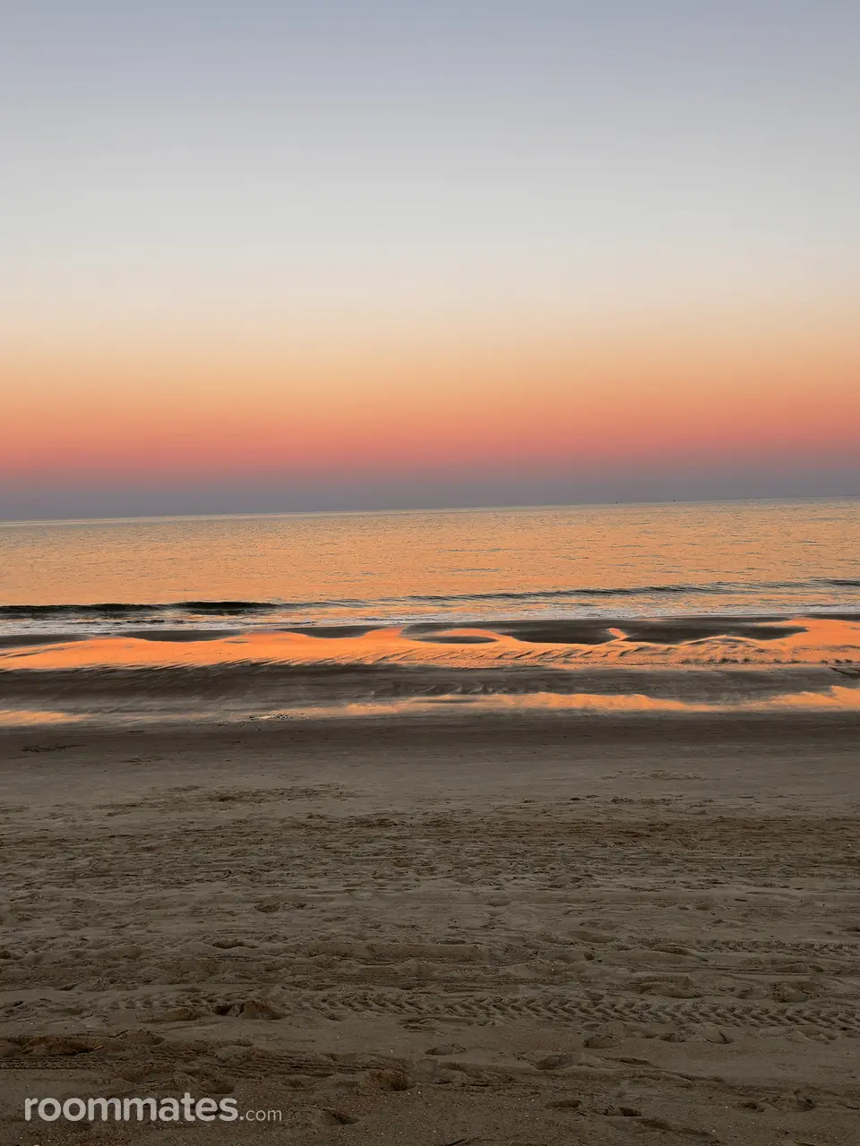 Profile photo 8 of 9