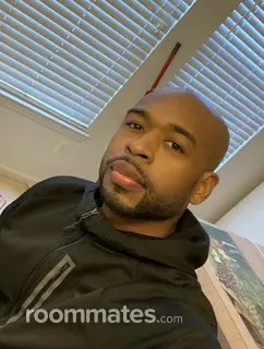 Roommate looking Indianapolis, IN, $800