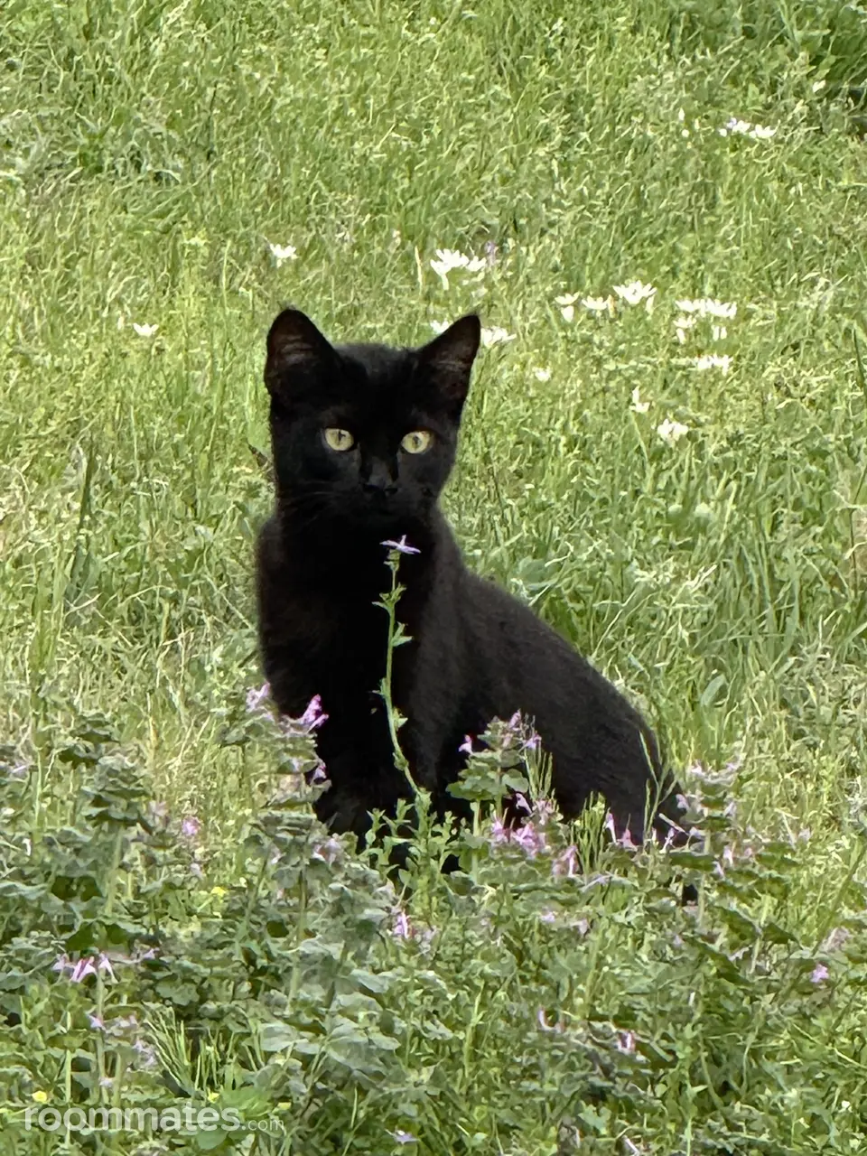 Profile photo 7 of 8