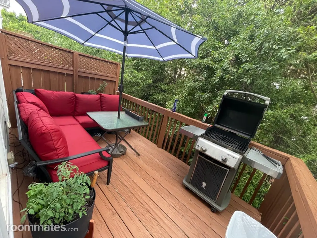 Profile photo 6 of 14