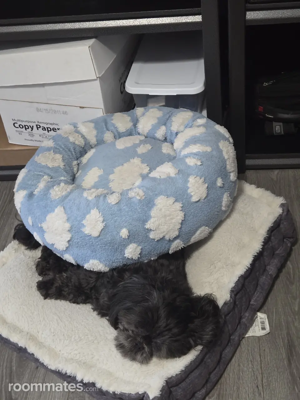 Profile photo 2 of 2