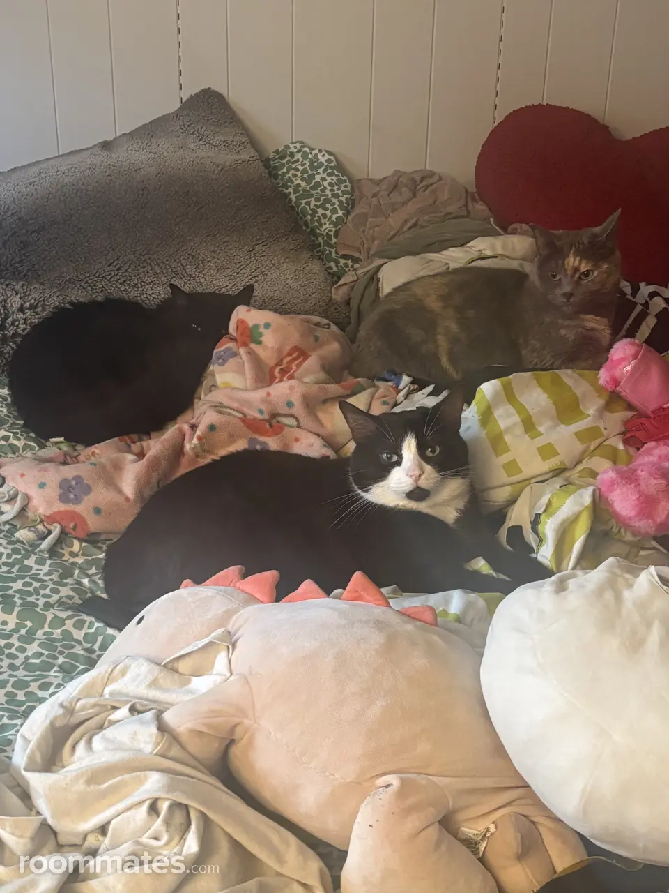 Profile photo 5 of 7