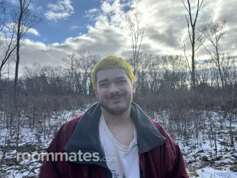 Roommate looking Grand Rapids, MI, $1000