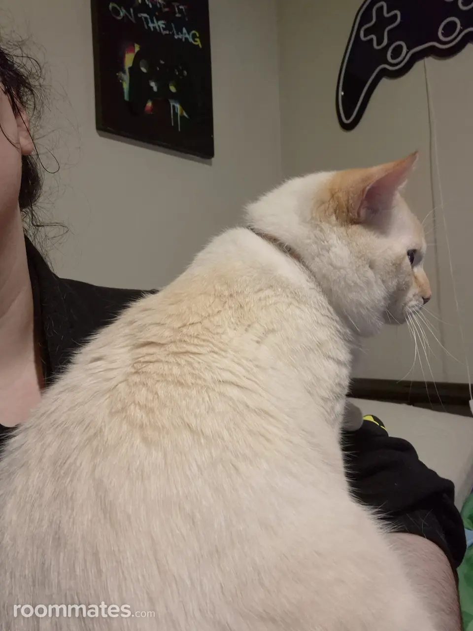 Profile photo 5 of 8