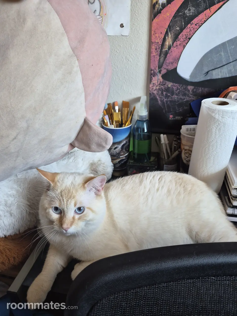 Profile photo 8 of 8