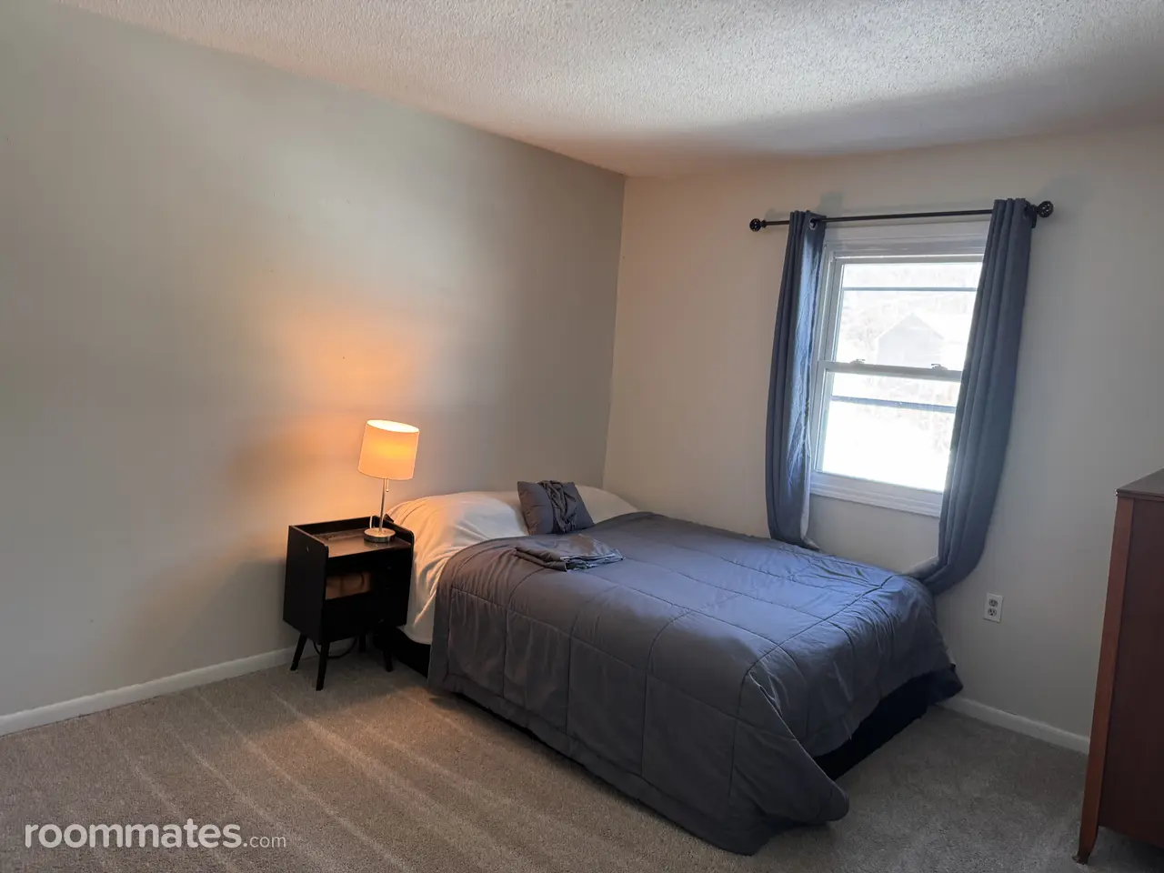 Profile photo 6 of 11