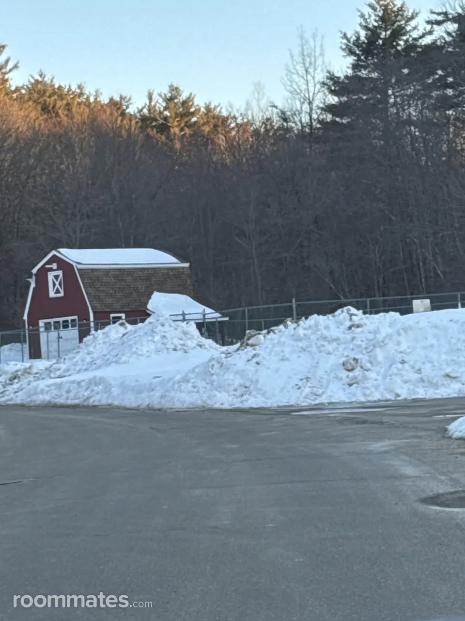 Profile photo 1 of 11