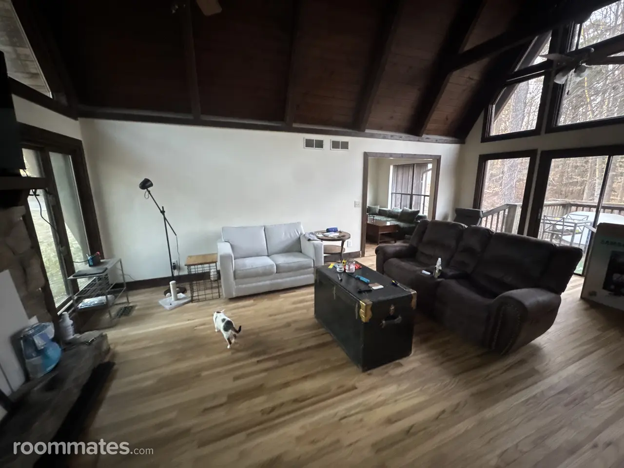 Profile photo 4 of 9