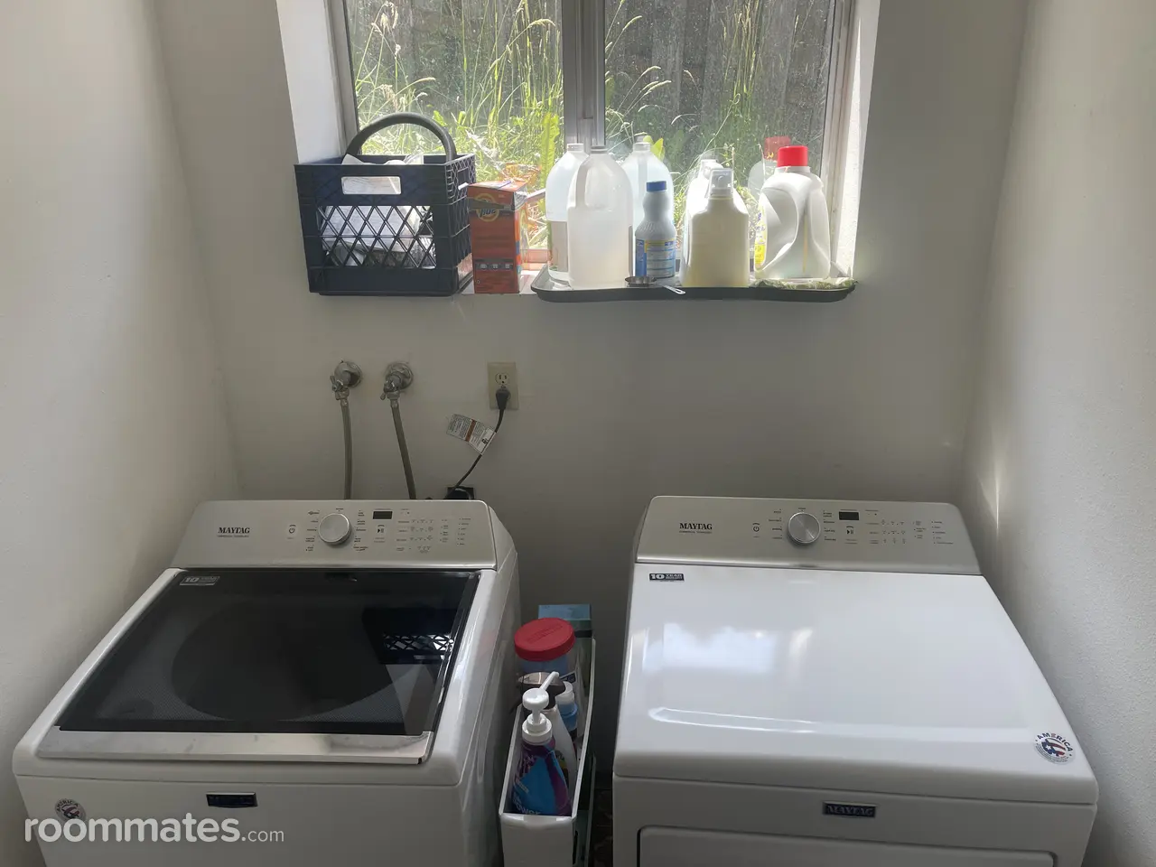 Profile photo 10 of 11