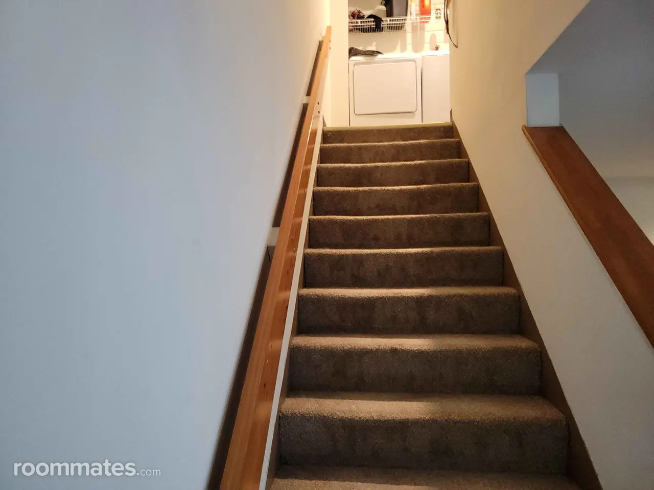 Profile photo 5 of 10