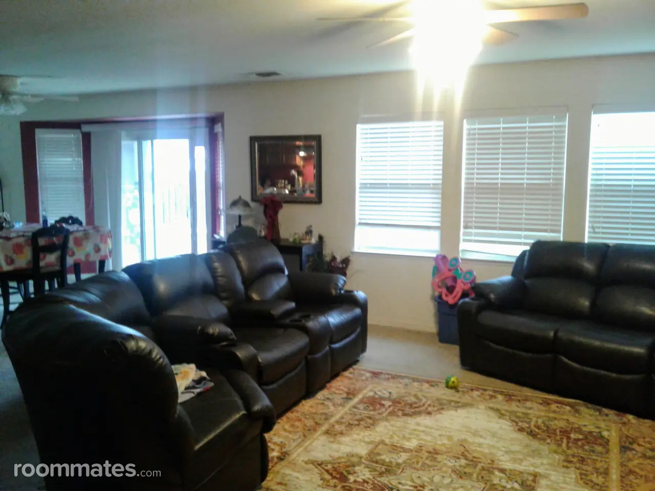 Profile photo 5 of 17