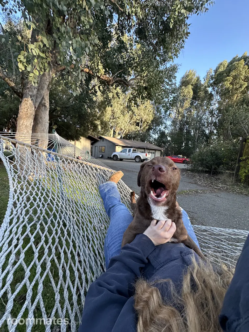 Profile photo 4 of 4